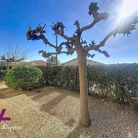 Pratique Proche Ocean - 4 Pers. - Fr-1-857-71 *